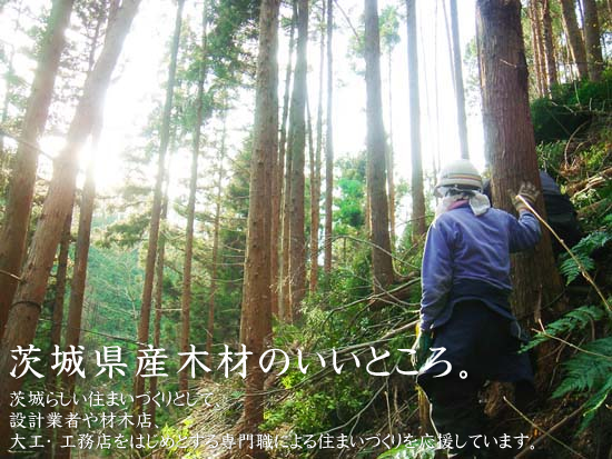 茨城県産木材のいいところ。